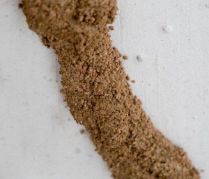 fibra-para-concreto-antiTermita