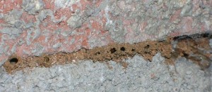 fibra-para-concreto-antiTermita